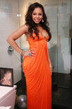 Ashanti attends the Ashanti Listening Party at the W New York Downtown Hotel & Residences, in New York