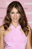 th_21466_elizabeth_hurley_photocall_tikipeter_celebritycity_012_123_594lo.jpg