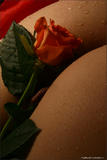 Nata - Bodyscape: Love is a Rose-733g3uddoc.jpg