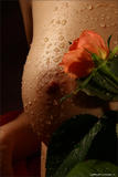 Nata in Bodyscape: Love is a Rose-x4lq8vlny3.jpg