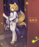 http://img215.imagevenue.com/loc474/th_78998_Fox_9_tail_by_kamiyoshi_122_474lo.jpg