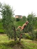 Federica olive treef1txfcvnt4.jpg